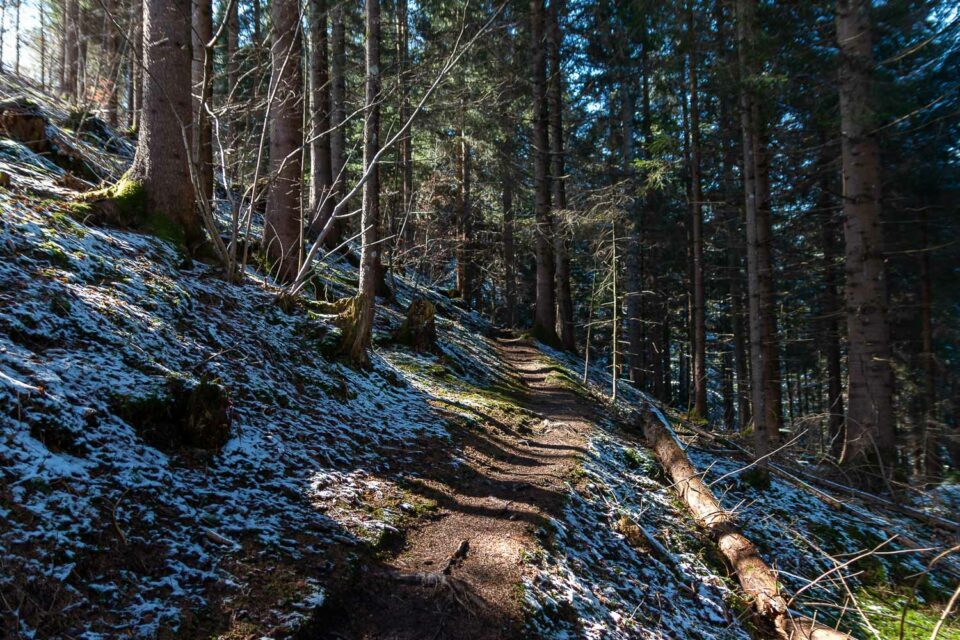 Wanderweg zum Lauchsee
