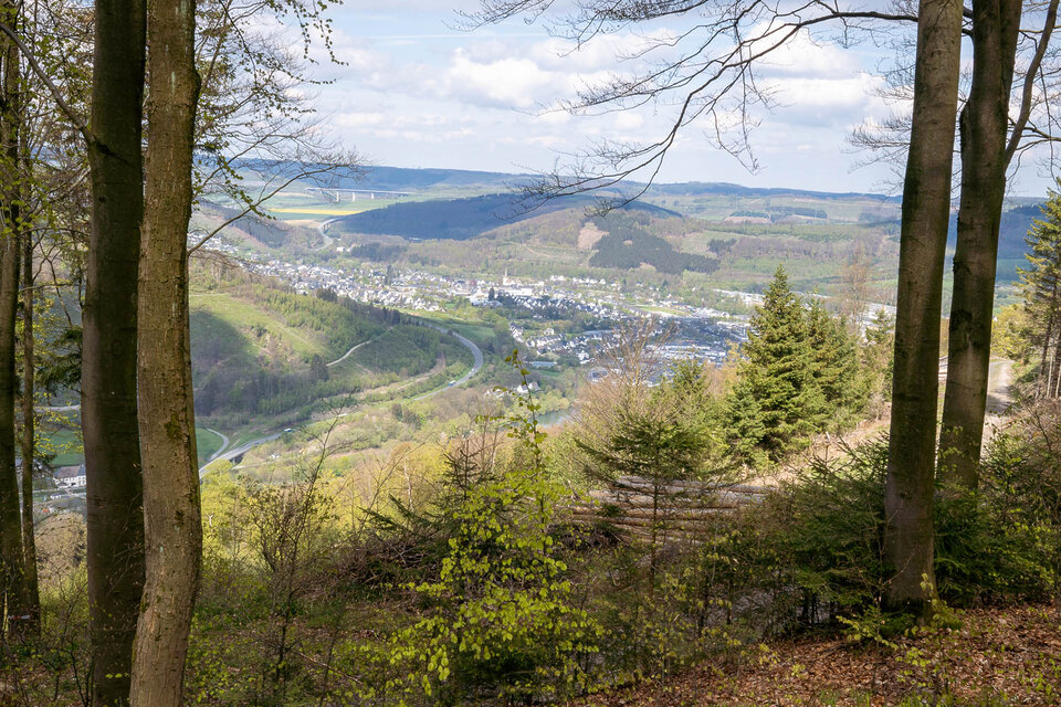 Olsberger Gipfelkreuztour – Kneipp-Wanderweg im Sauerland