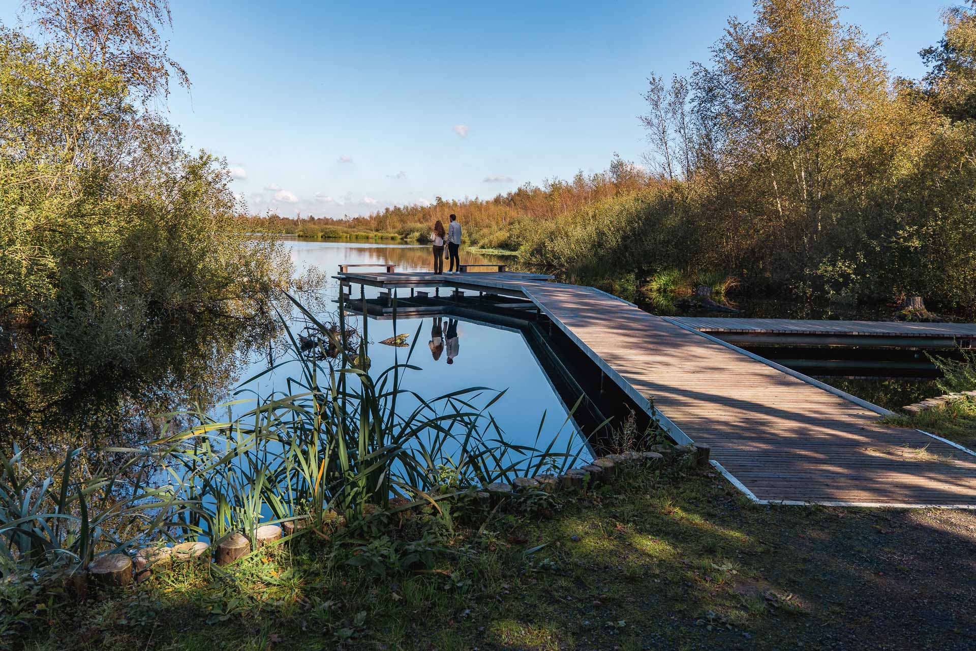 Nationalpark De Groote Peel – Wandern & Vögel beobachten zwischen Limburg & Brabant