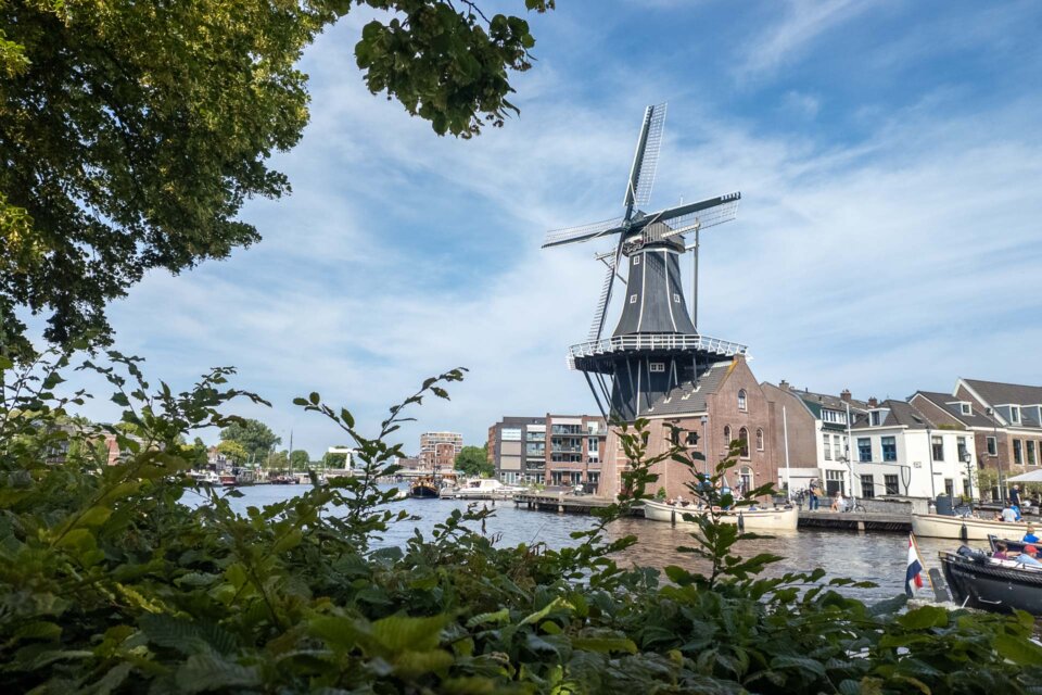 Haarlem – die besten Sehenswürdigkeiten & weitere Tipps für deinen Besuch